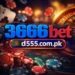 3666bet